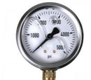 Gauge - Bottom Mount - 5000 PSI - EnviroSpec (4333305626696)