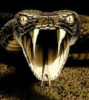 SnakeBite - Venom for Hood Cleaning - EnviroSpec (4112768008262)